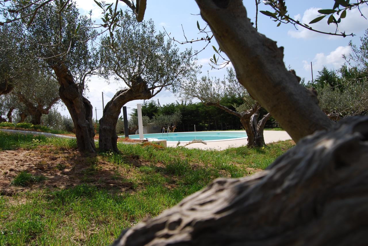 In Sicilia Da Ciro Bed and Breakfast Vita Eksteriør billede